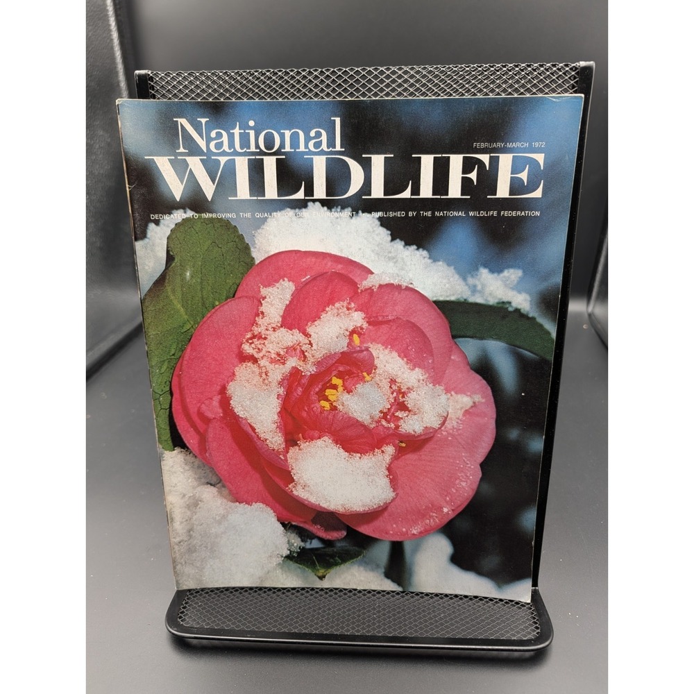 1972 March National Wildlife Magazine Ghost Crab Walks The Beach